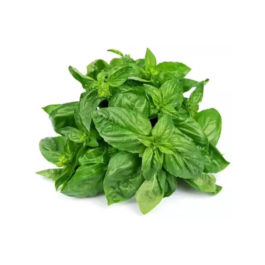 ريحان طازج 1 حزمة