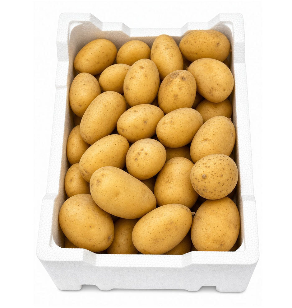 بطاطس طازجة (حجم متوسط)
