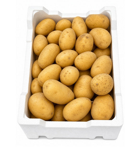 بطاطس طازجة (حجم متوسط)