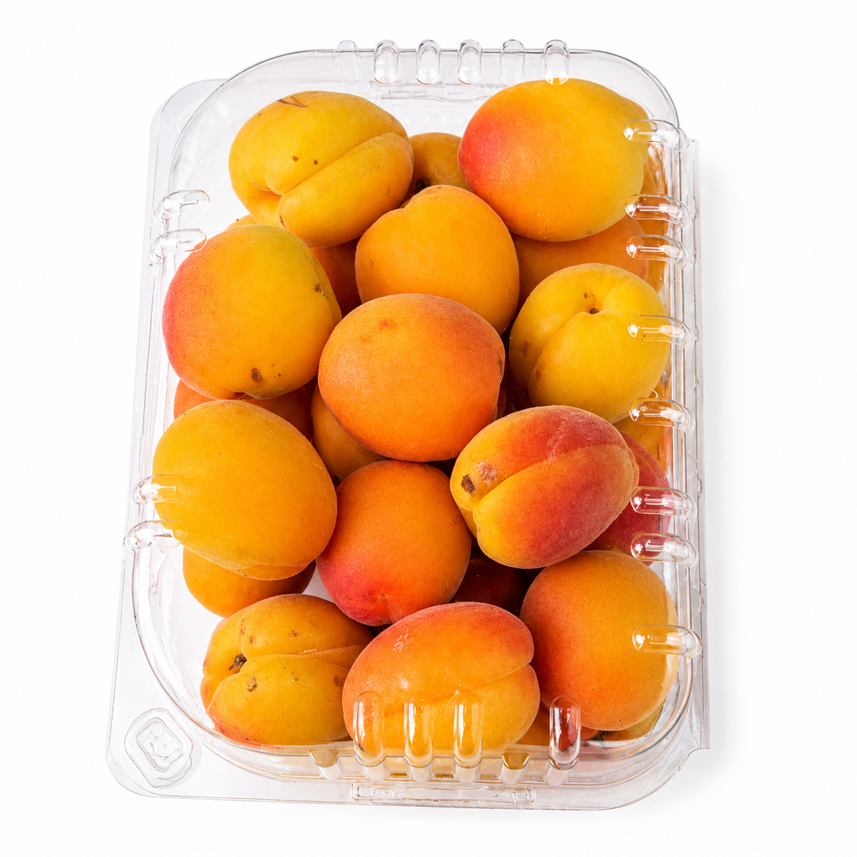 مشمش اردني طازج 1 كجم